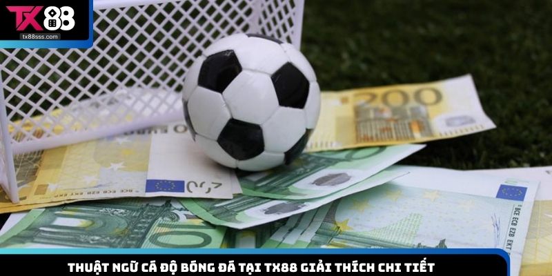 thuật ngữ cá độ bóng đá